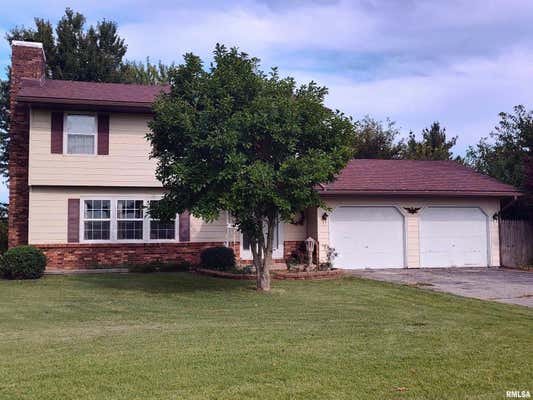 10954 KNOLES RD, PETERSBURG, IL 62675 - Image 1