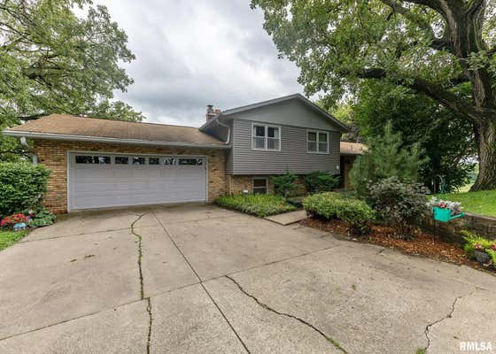 423 RIDGE DR, GENESEO, IL 61254 - Image 1