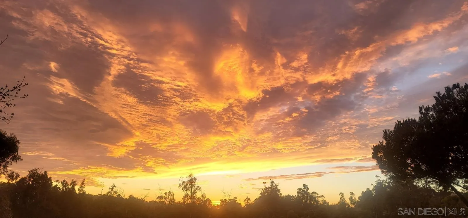 San Diego, California, 92131, United States, 5 Bedrooms Bedrooms, ,3 BathroomsBathrooms,Residential,Active,1945199