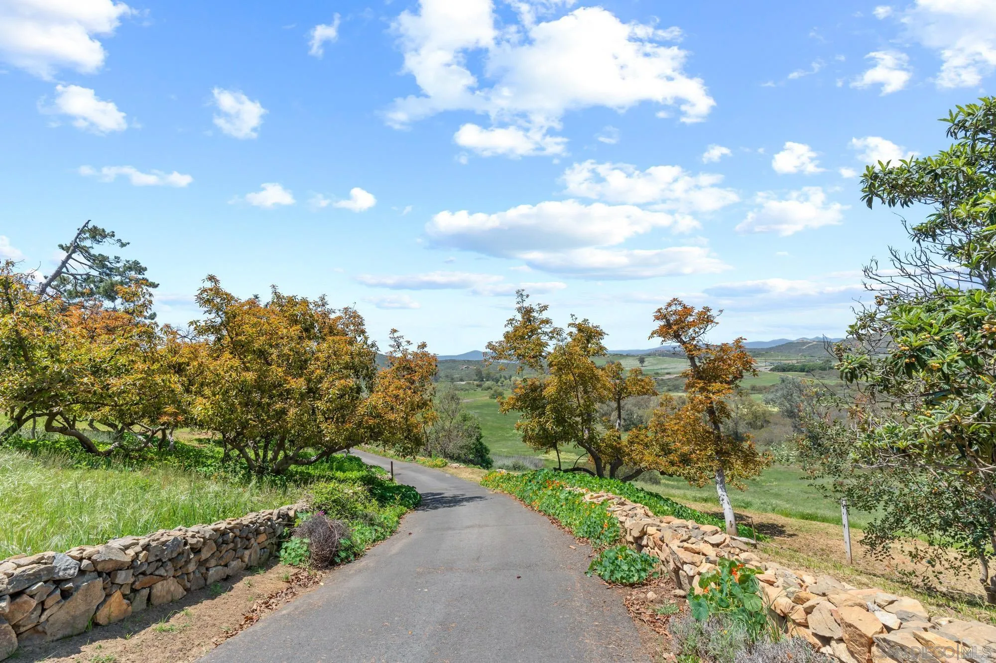 Poway, California, 92064, United States, 5 Bedrooms Bedrooms, ,4 BathroomsBathrooms,Residential,Active,1973638