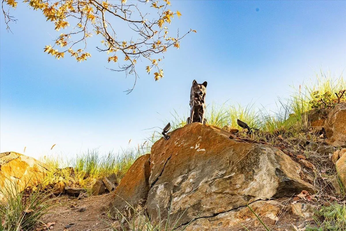 Escondido, California, 92026, United States, 5 Bedrooms Bedrooms, ,3 BathroomsBathrooms,Residential,Active,1970987