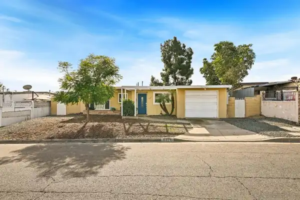 秋の朝 Kawasaki ZX-11D | Pashnit Motorcycles