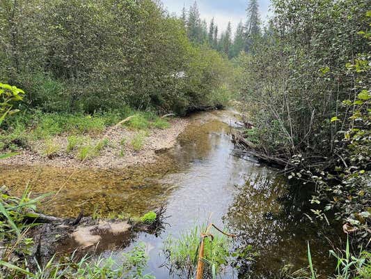 NKA SOGGY BOTTOM LN, CUSICK, WA 99119 - Image 1