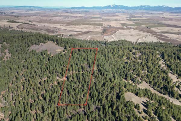 21XXX E STEPTOE VIEW LN, LATAH, WA 99018 - Image 1