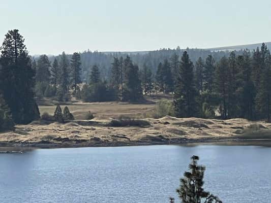 12000 S MEADOW RD, MEDICAL LAKE, WA 99022 - Image 1