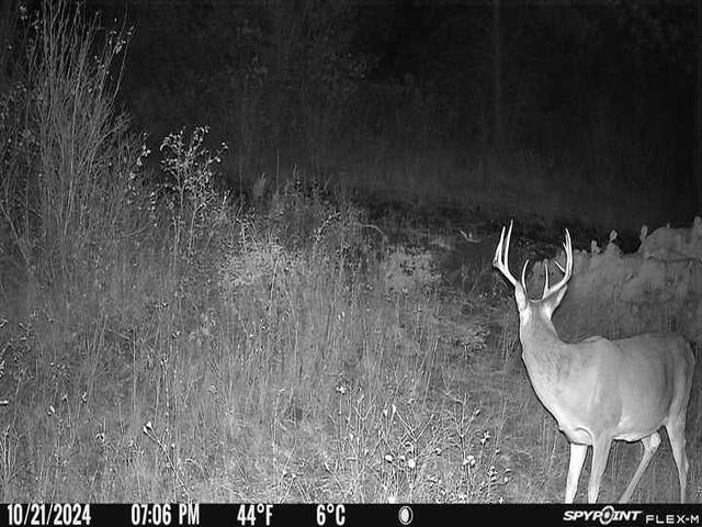 Greenacres, Washington, 99016, United States, 4 Bedrooms Bedrooms, ,3 BathroomsBathrooms,Residential,Active,1844273