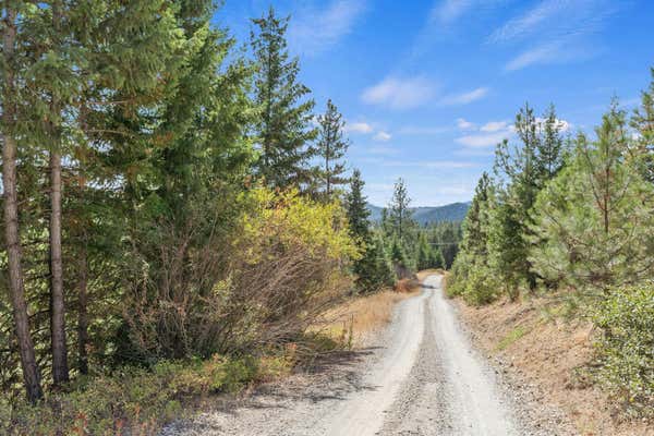 3XXX E GARDEN SPOT RD, LOON LAKE, WA 99148 - Image 1