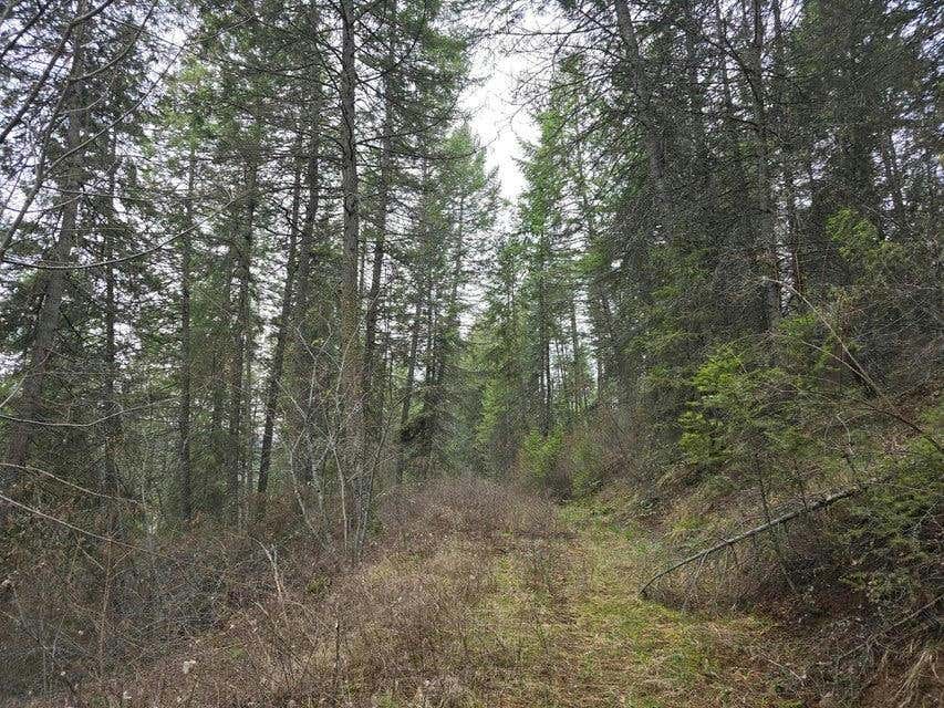 TBD VANESSE RD, KETTLE FALLS, WA 99141, photo 1 of 9