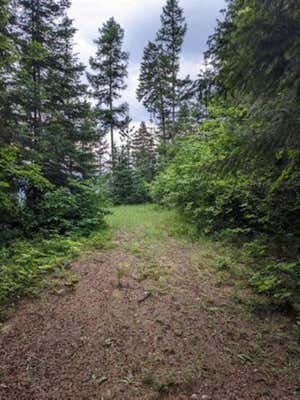 NKA LECLERC RD- PLATEAU LN, CUSICK, WA 99119 - Image 1