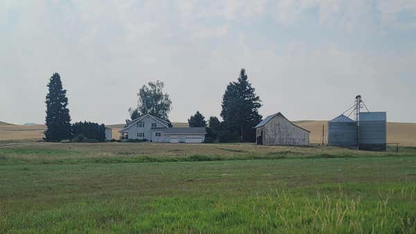 1101 STAN WILCOX RD, PALOUSE, WA 99161 - Image 1