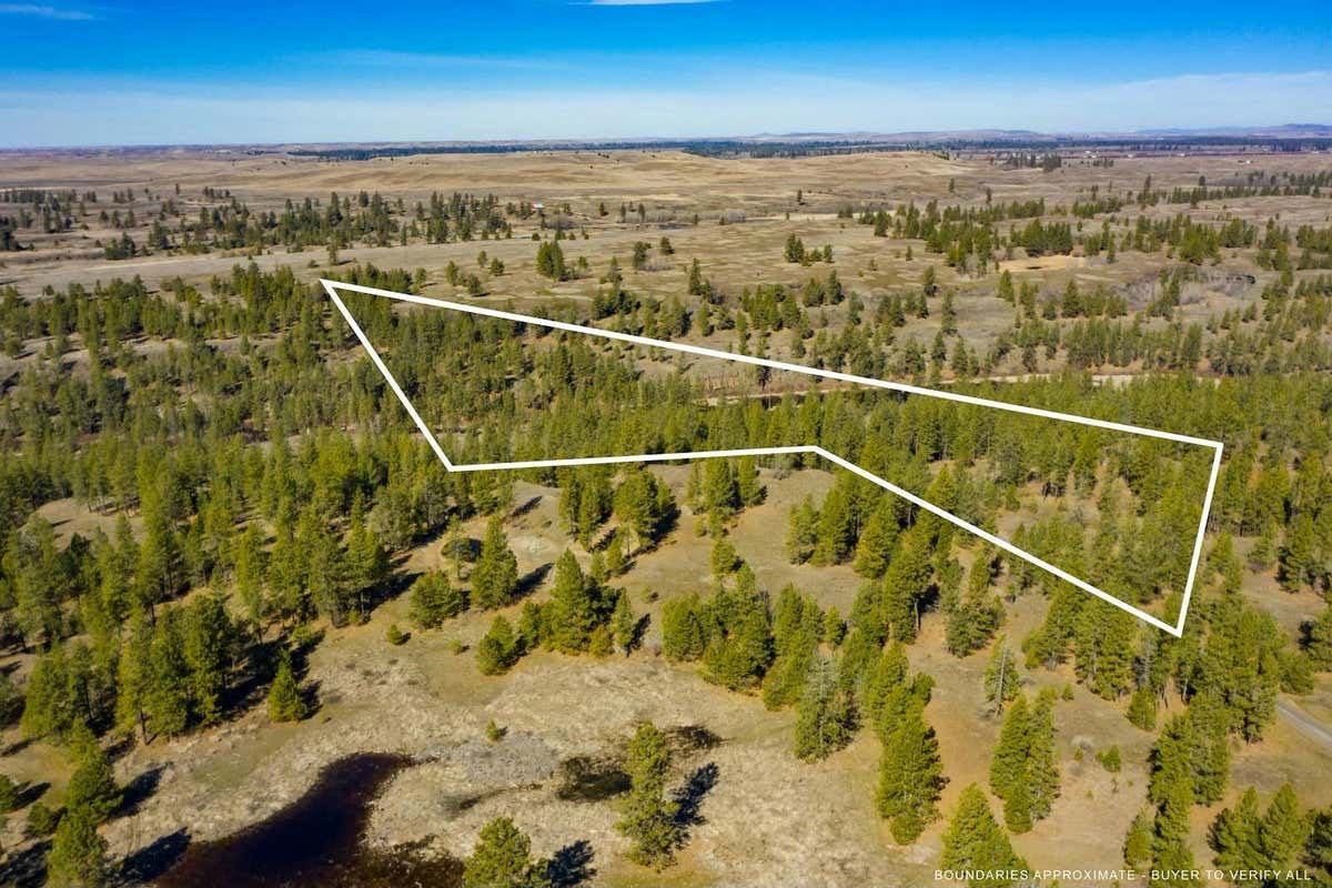 LOT 2 02315.9022 UNASSIGNED ADDRESS, CHENEY, WA 99032, photo 1 of 2