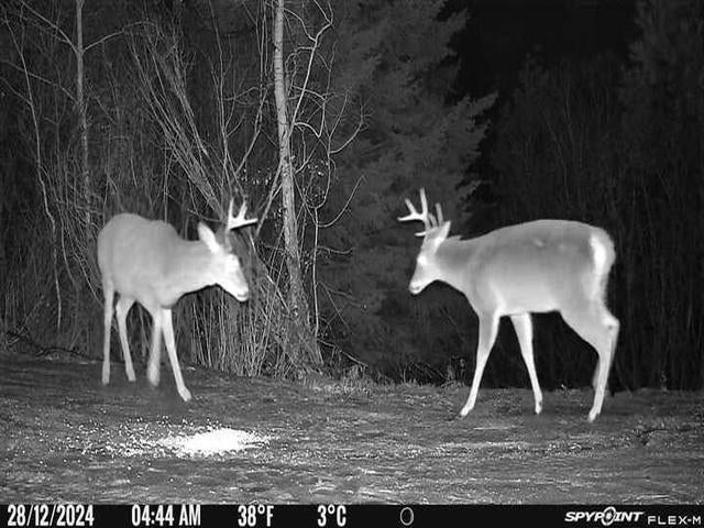 Greenacres, Washington, 99016, United States, 4 Bedrooms Bedrooms, ,3 BathroomsBathrooms,Residential,Active,1844273