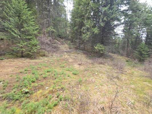 TBD VANESSE RD, KETTLE FALLS, WA 99141, photo 4 of 9