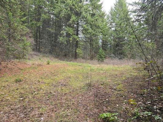 TBD VANESSE RD, KETTLE FALLS, WA 99141, photo 3 of 9