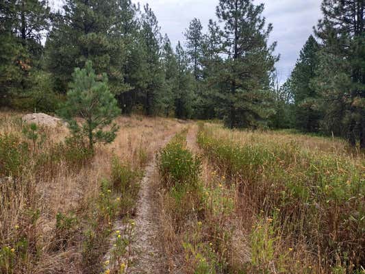 XX LITTLE SWEDEN RD # LOT B, VALLEY, WA 99181 - Image 1