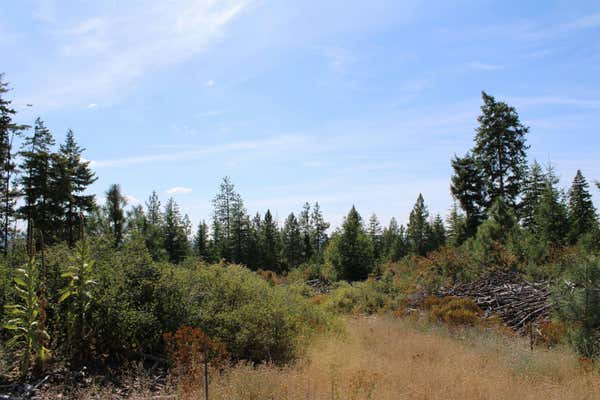 XXX ELLERY RANCH RD, ELK, WA 99009 - Image 1