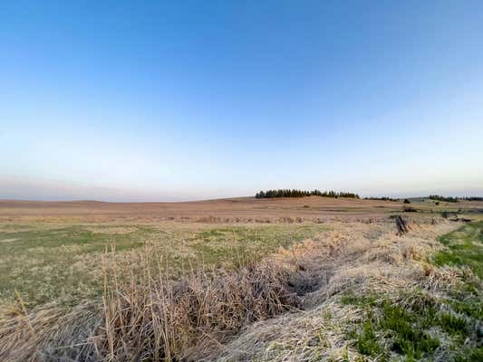 LOT 1 NKA CHENEY SPANGLE RD # PARCEL 32081.9040, SPANGLE, WA 99031, photo 3 of 27