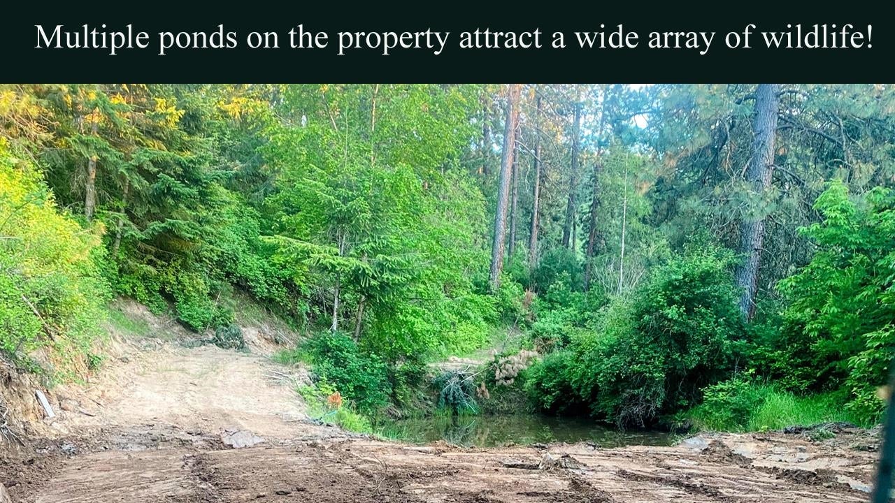 Greenacres, Washington, 99016, United States, 4 Bedrooms Bedrooms, ,3 BathroomsBathrooms,Residential,Active,1844273