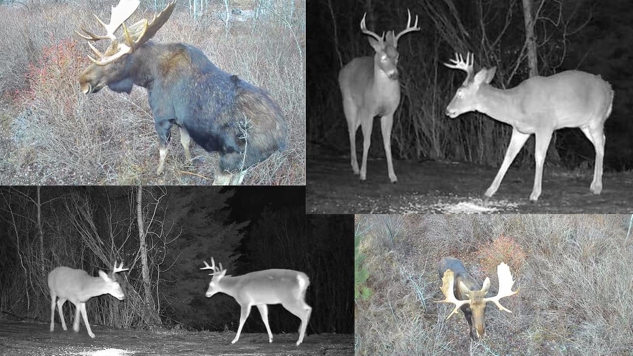 Greenacres, Washington, 99016, United States, 4 Bedrooms Bedrooms, ,3 BathroomsBathrooms,Residential,Active,1844273