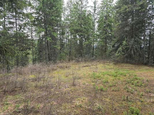 TBD VANESSE RD, KETTLE FALLS, WA 99141, photo 5 of 9