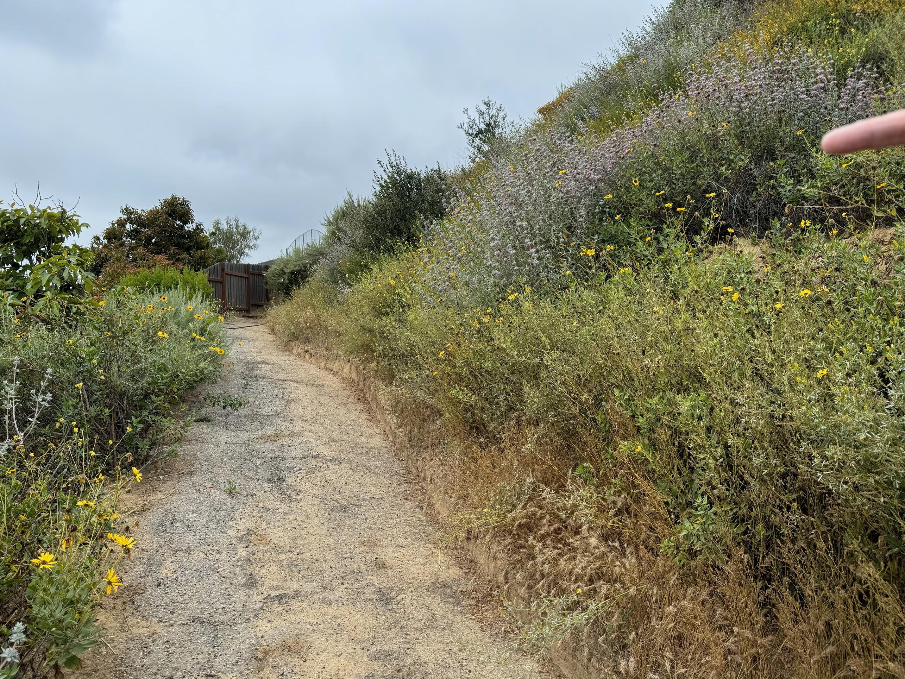 Ventura, California, 93003, United States, 4 Bedrooms Bedrooms, ,3 BathroomsBathrooms,Residential,Active,2010582