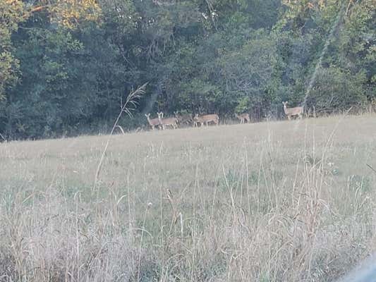 1823 S FALL CREEK RD, CALDWELL, KS 67022, photo 2 of 27