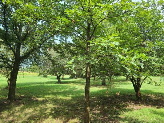 3164 51ST RD, UDALL, KS 67146, photo 3 of 35