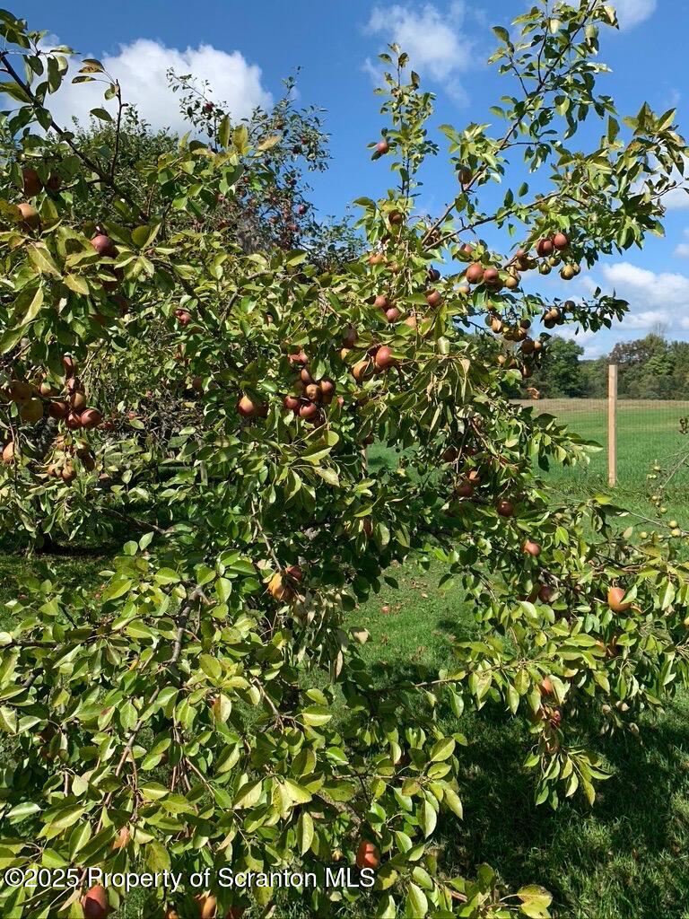 Honesdale, Pennsylvania, 18431, United States, ,4 BathroomsBathrooms,Residential,Active,1860241