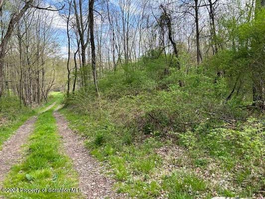 MILLER ROAD, WAVERLY, PA 18471, photo 3 of 30