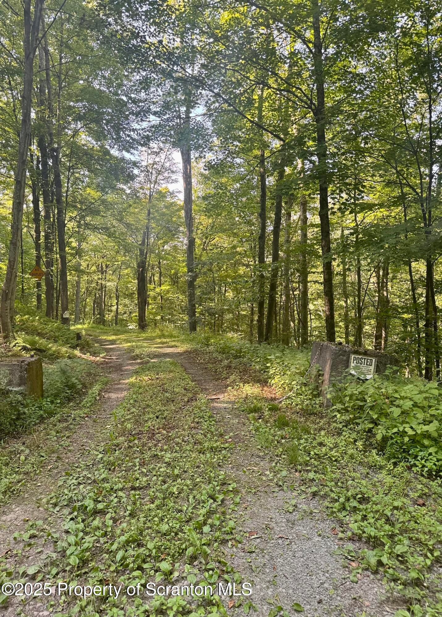 Equinunk, Pennsylvania, 18417, United States, 3 Bedrooms Bedrooms, ,3 BathroomsBathrooms,Residential,Active,1922535