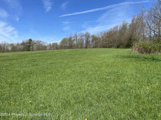 BETHAL HILL ROAD, SUSQUEHANNA, PA 18847, photo 2 of 10