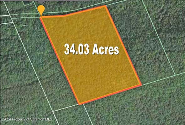 34.03 ACRE TOMKO AVENUE, HANOVER TWP, PA 18706 - Image 1