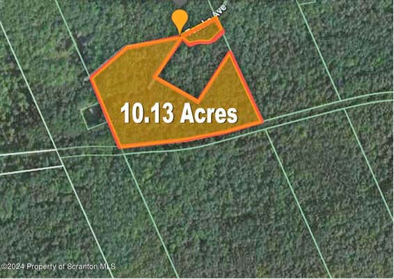 10.13 ACRE TOMKO AVENUE, HANOVER TWP, PA 18706 - Image 1