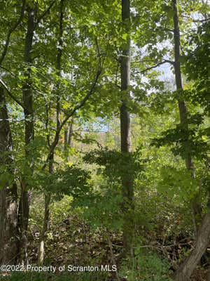 GRIFFIN POND ROAD, SOUTH ABINGTON TWP, PA 18411, photo 2 of 4