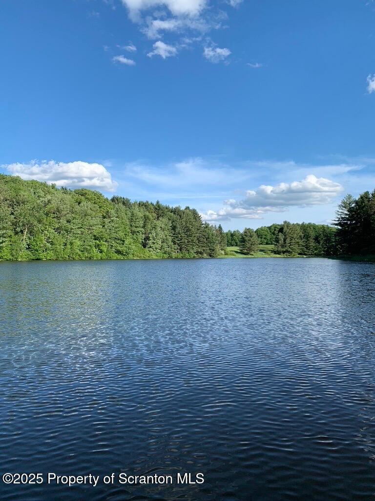 Honesdale, Pennsylvania, 18431, United States, ,4 BathroomsBathrooms,Residential,Active,1860241