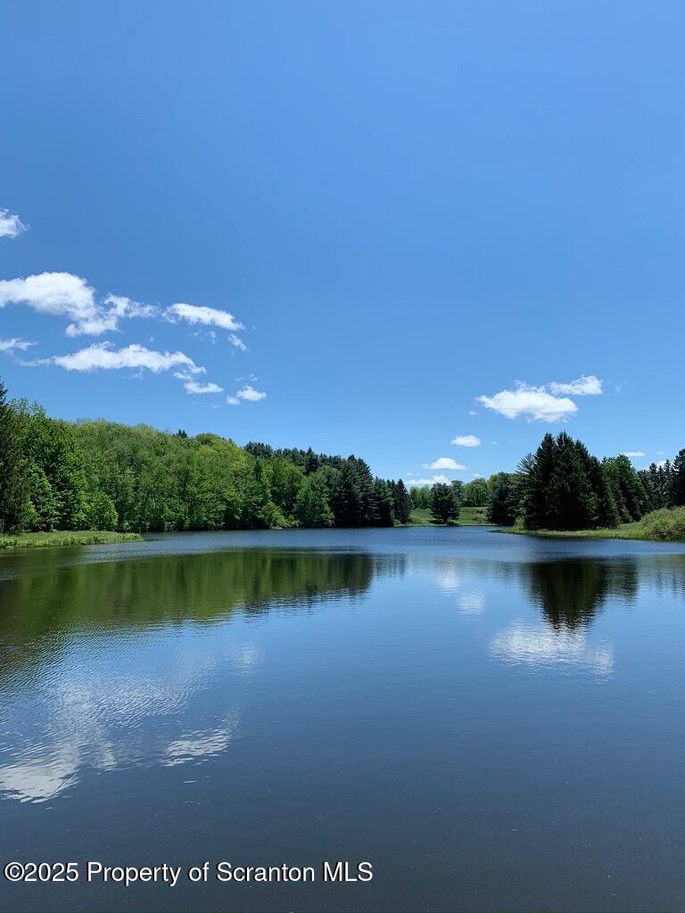 Honesdale, Pennsylvania, 18431, United States, ,4 BathroomsBathrooms,Residential,Active,1860241