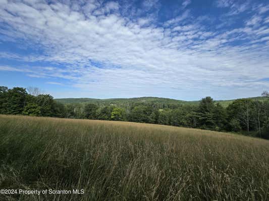 1 TRAVER HILL RD, FRIENDSVILLE, PA 18818 - Image 1