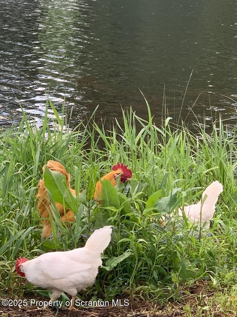 Honesdale, Pennsylvania, 18431, United States, ,4 BathroomsBathrooms,Residential,Active,1860241