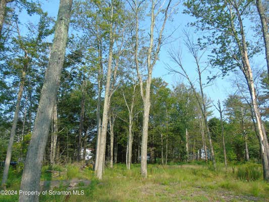 LOT 31 41 BIRCH ST STREET, SPRING BROOK TWP, PA 18444 - Image 1