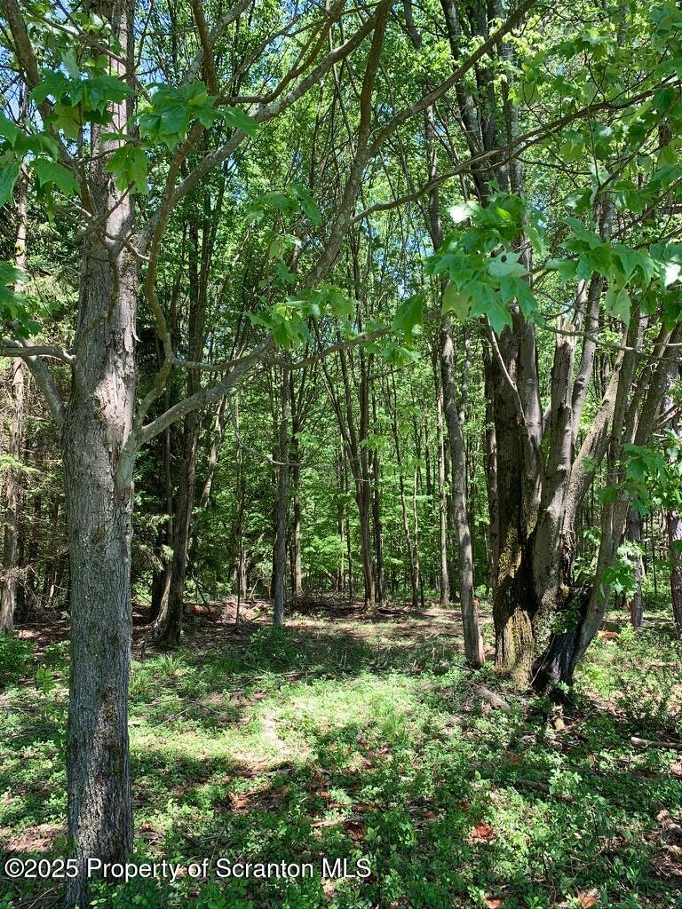 Honesdale, Pennsylvania, 18431, United States, ,4 BathroomsBathrooms,Residential,Active,1860241