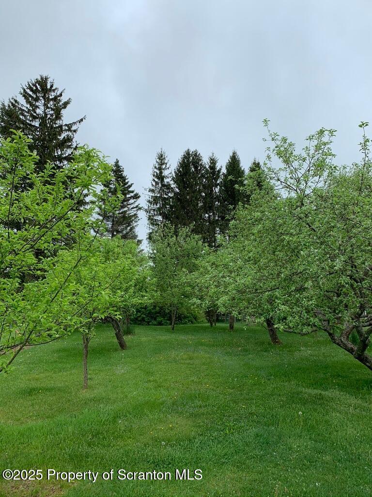 Honesdale, Pennsylvania, 18431, United States, ,4 BathroomsBathrooms,Residential,Active,1860241