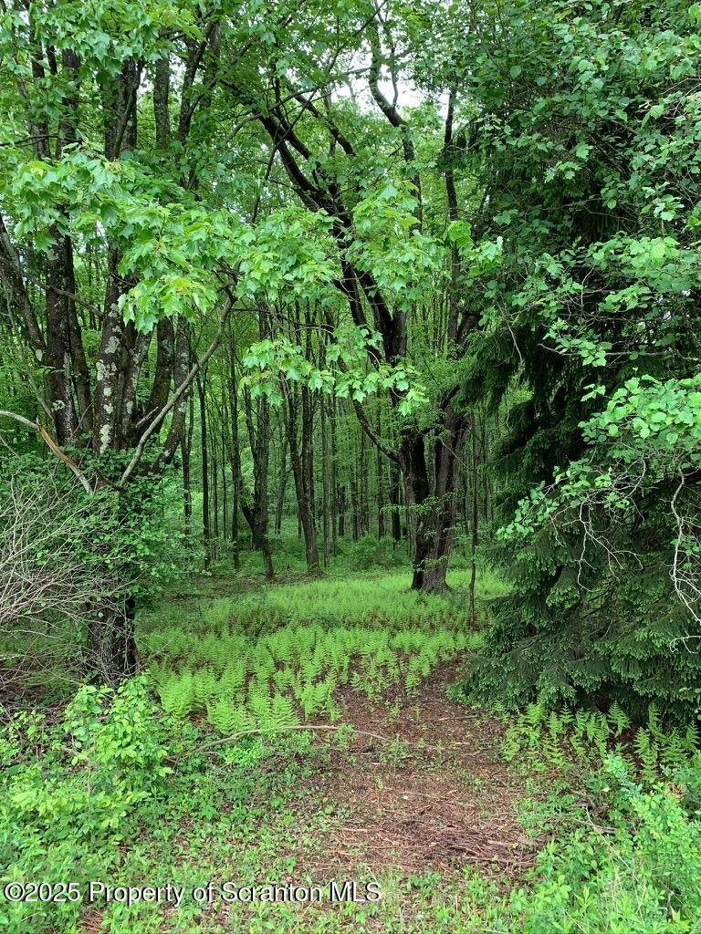 Honesdale, Pennsylvania, 18431, United States, ,4 BathroomsBathrooms,Residential,Active,1860241