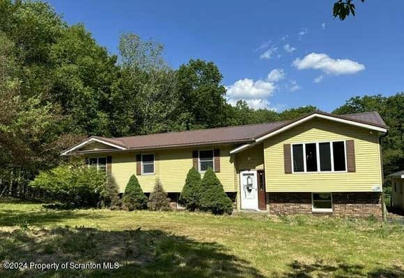 53 ELKVIEW DR, CLIFFORD TOWNSHIP, PA 18421 - Image 1