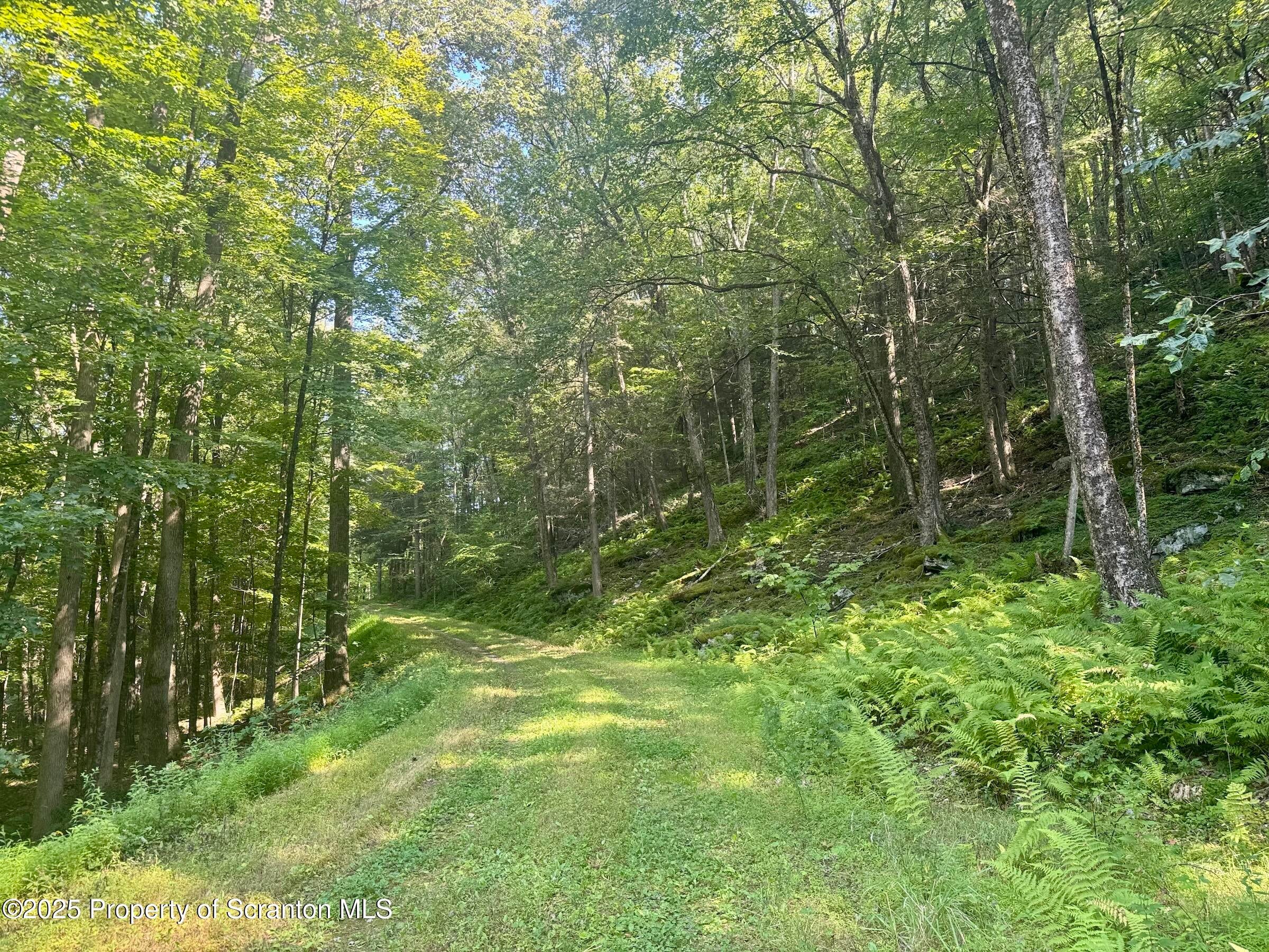 Equinunk, Pennsylvania, 18417, United States, 3 Bedrooms Bedrooms, ,3 BathroomsBathrooms,Residential,Active,1922535