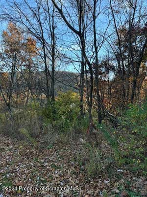 LOT 37 N SKYLINE DRIVE, SOUTH ABINGTON TWP, PA 18411 - Image 1