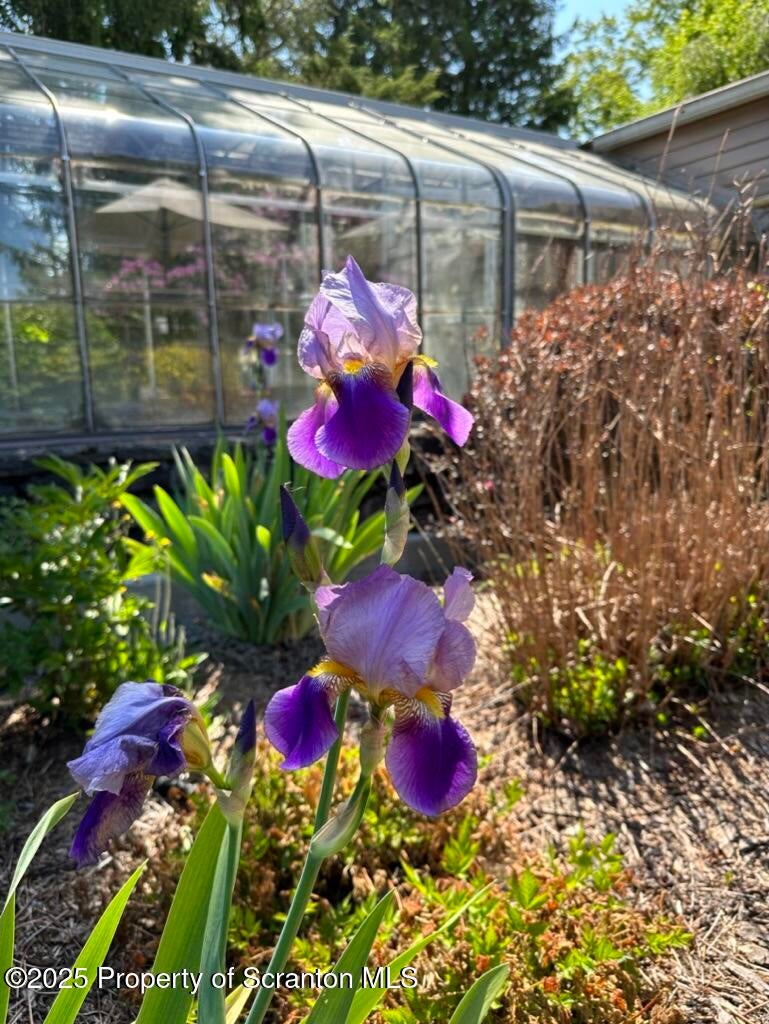 Honesdale, Pennsylvania, 18431, United States, ,4 BathroomsBathrooms,Residential,Active,1860241