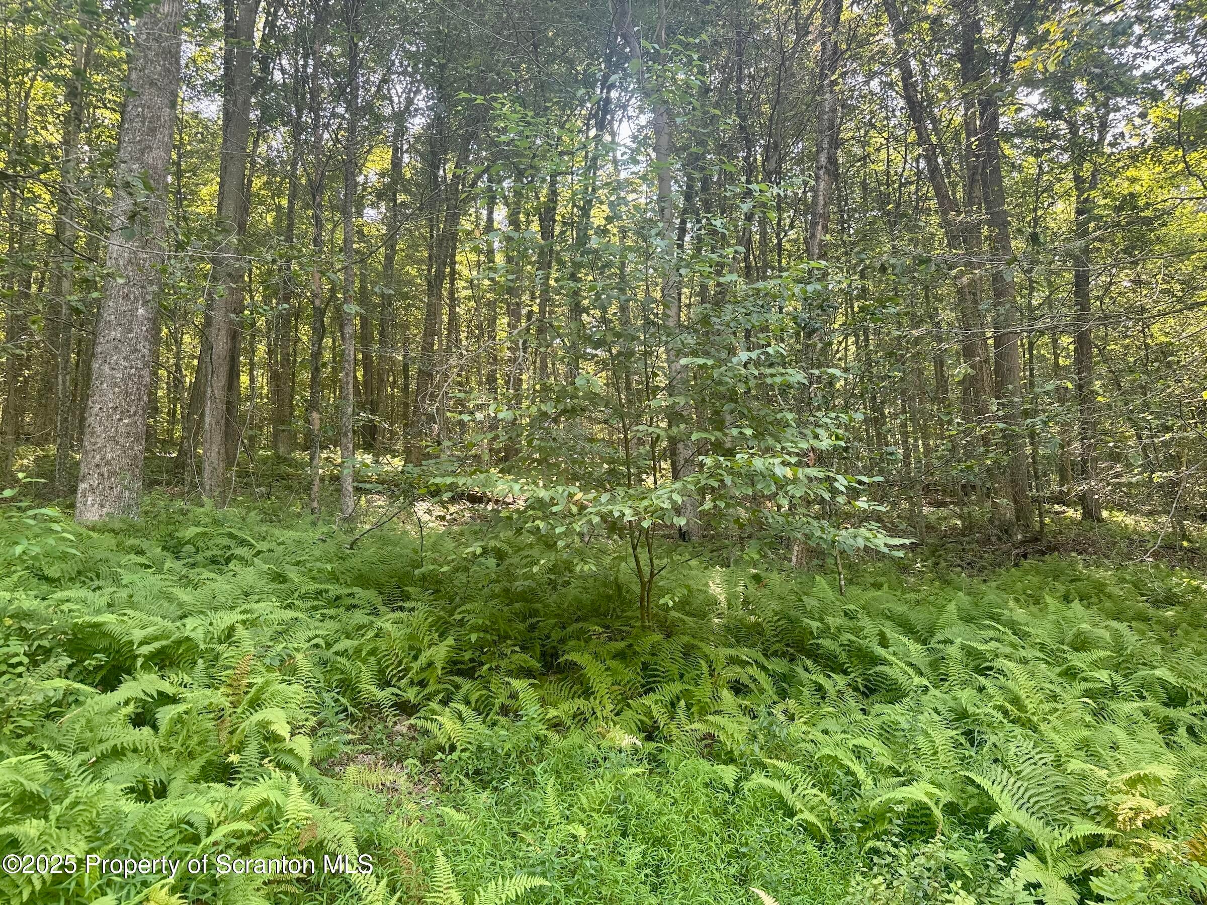 Equinunk, Pennsylvania, 18417, United States, 3 Bedrooms Bedrooms, ,3 BathroomsBathrooms,Residential,Active,1922535