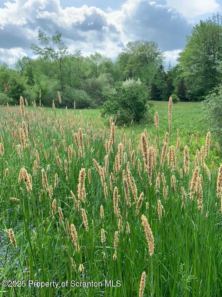 Honesdale, Pennsylvania, 18431, United States, ,4 BathroomsBathrooms,Residential,Active,1860241