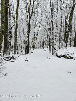 NEWTON ROAD, NEWTON TWP, PA 18411, photo 2 of 4