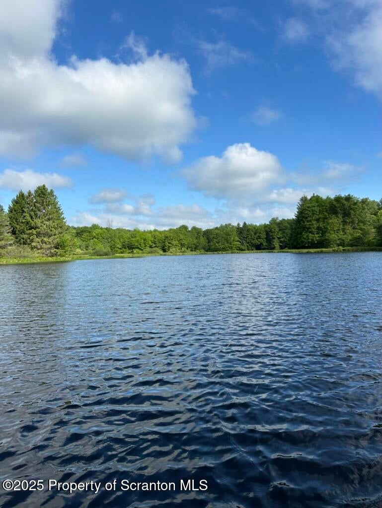 Honesdale, Pennsylvania, 18431, United States, ,4 BathroomsBathrooms,Residential,Active,1860241